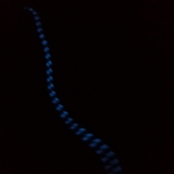 It's Called a Miracle Because it Doesn't Happen