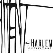 Walking Through Harlem by The Harlem Experiment