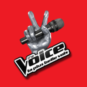 The Voice: La Plus Belle Voix