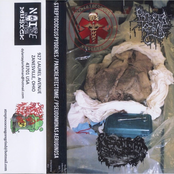 Pseudomonas Aeruginosa / Streptococcus Pyogenes / Pancreatectomie