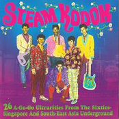 VA - Steam Kodok : 26 A-Go-Go Ultrarities from the 60's Singapore & Southeast Asia Underground