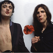 Wolfman Feat Pete Doherty