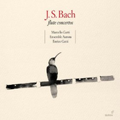 Bach, J.S.: Flute Concertos (M. Gatti, Ensemble Aurora