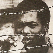 fela ransome kuti & africa 70