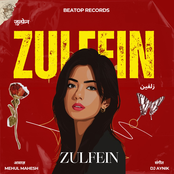 Zulfein