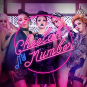 CheeTah: My Number