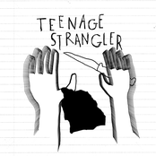 teenage strangler