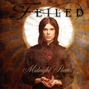 End Of Love by Feiled