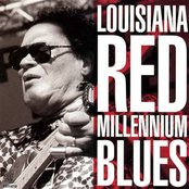 Orphanage Home Blues by Louisiana Red