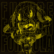 Future Fusion Formula