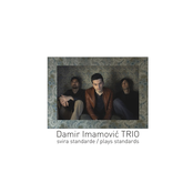 Damir Imamovic Trio Plays Standards
