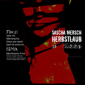 Nach Dir Schrie Ich by Sascha Mersch