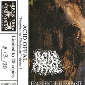 Fragmented Fleshpaste
