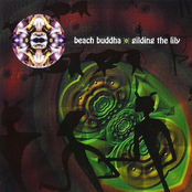 Glass Voices by Beach Buddha