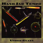 Hymenoptera In Amber Crybaby by Hash Jar Tempo