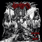 Revelations of Macabre