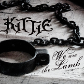 We Are the Lamb cover