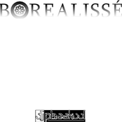 Borealissé