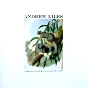 Quivering Umbels by Andrew Liles