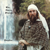 The Fäerie Shaman