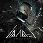 Yandel: Dangerous