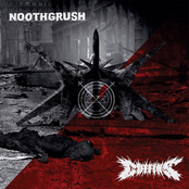 noothgrush / coffins