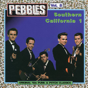 Pebbles Vol. 8 Southern California 1