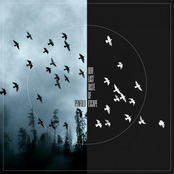 Penfold: Our Last Taste of Escape