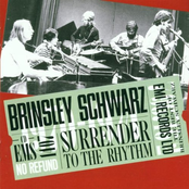 Surrender To The Rhythm by Brinsley Schwarz