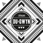 Du a Gwyn