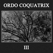 Day Without The Sun by Ordo Coquatrix