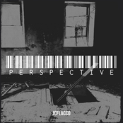 Perspective - Single
