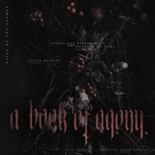 A BOOK OF AGONY