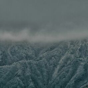 In The Misty Dream Till The Dawn