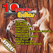 10 Grandes Exitos de Alejandro Fernandez