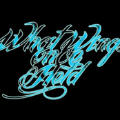 What Wings Once Held