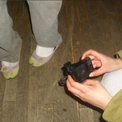 Cool Ant 23/5/25 (Live)