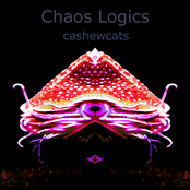 Chaos Logics