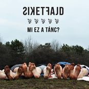 Mi Ez A Tánc?