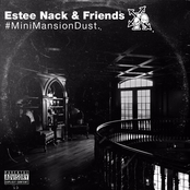 #Mini Mansion Dust Vol. 1