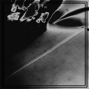 yilingia (mess.a.lina version)