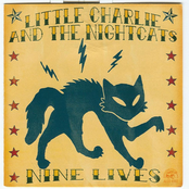 Cool Johnny Twist by Little Charlie & The Nightcats