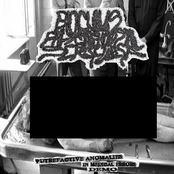 Putrefactive anomalies in medical errors - DEMO