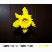 Illuminated Aluminum