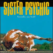 Sleepwalking by Sister Psychic