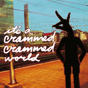 It's a Crammed Crammed World