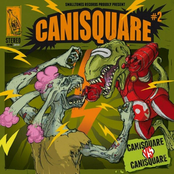 Canisquare vs Canisquare