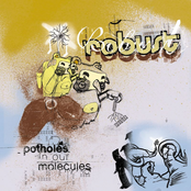 Robust: Potholes in Our Molecules