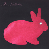 No Forwarding Address