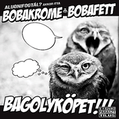 Bagolyköpet